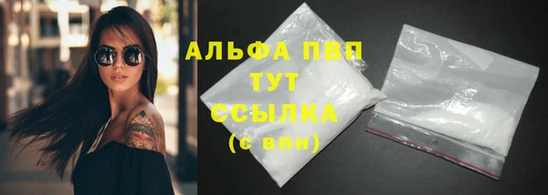 стаф Осинники