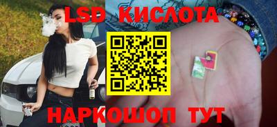прущие крисы Камышлов