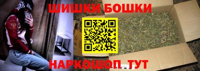 шишки Кинель