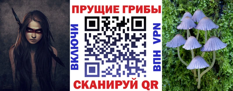 купить  сайты  Псков  Псилоцибиновые грибы мухоморы 