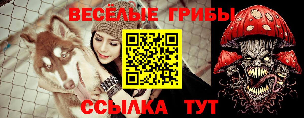 Псков  Псилоцибиновые грибы мицелий  Галлюциногенные грибы ЛСД  Вход с VPN 